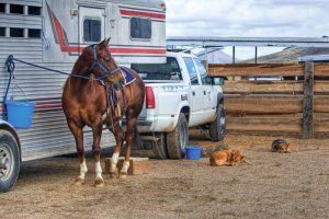 Pre-Tow Horse Trailer and Camper Service